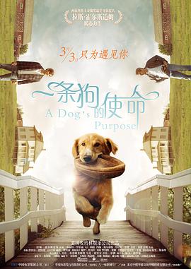 你懂的在线电影