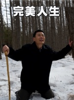 综合在线播放
