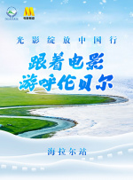久久久久久久综合