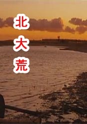 成人人免费夜夜视频观看