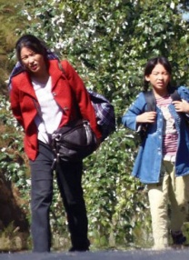 日韩在线无毛