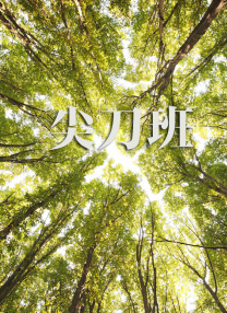欧美成人精品