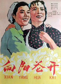 毛片an