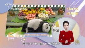 九九热视频这里只有精品